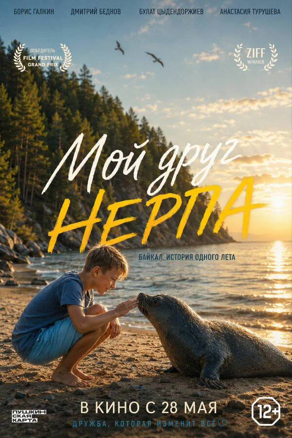 Мой друг нерпа постер - смотреть онлайн